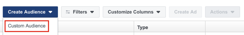 Selecting custom audience from Facebook Business Manager.