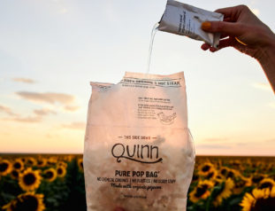 From Pantry to Performance: Quinn Reduces CPA by 15% With Precision Targeting