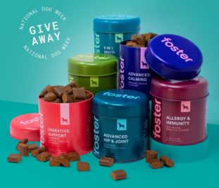 Tailored for Pet Parents: Foster’s Pet Care Cuts CPA by 20% With Smarter Segmentation
