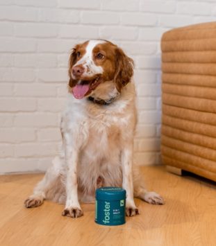 Foster's Pet Care product image 2