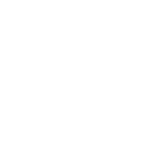 Perfect Snacks Logo